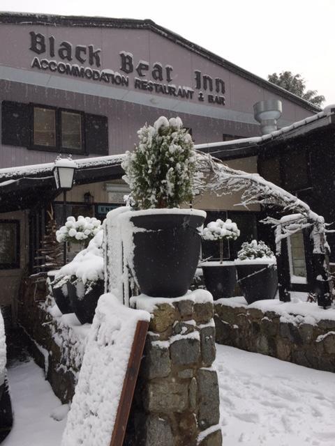 Black Bear Inn Thredbo Exteriér fotografie